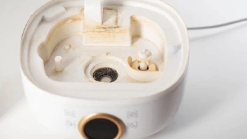 How to Tell if Humidifier Is Moldy