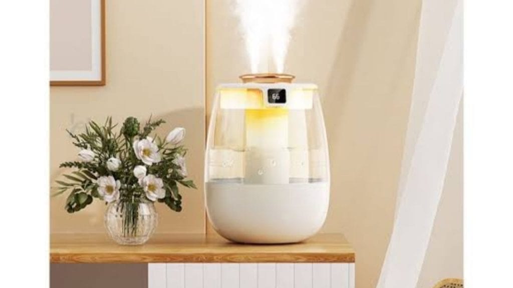 How to Use Humidifier with Water