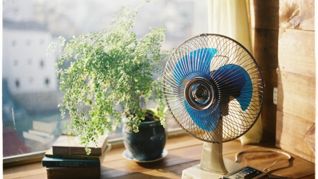 How to Use Vornado Fan